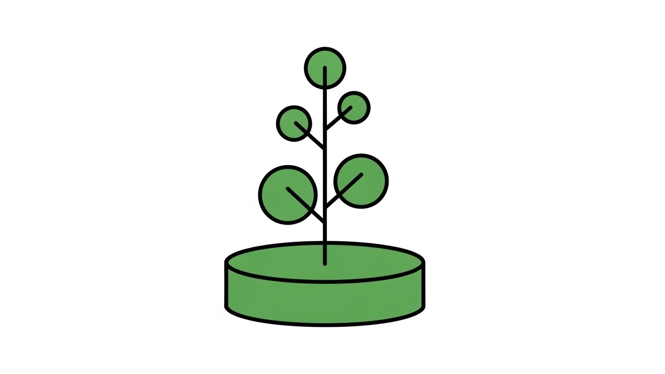 (Minimalist Flat 2D Vector): Organic Growth Illustrates ROI Potential