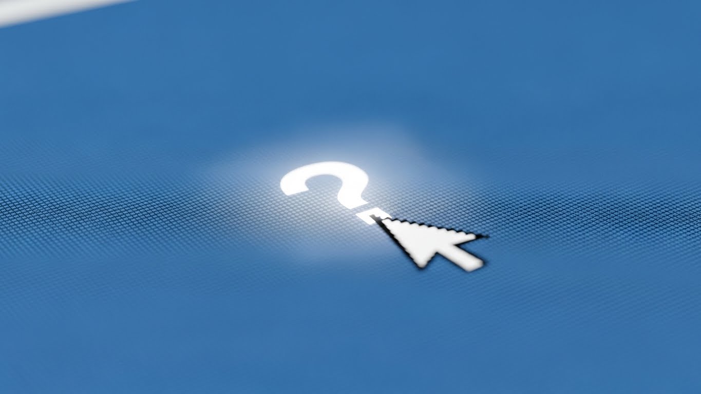 (Macro Focus): Precision Support + Accessible Answers