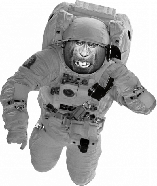 Monkey Mascot Floating Animation